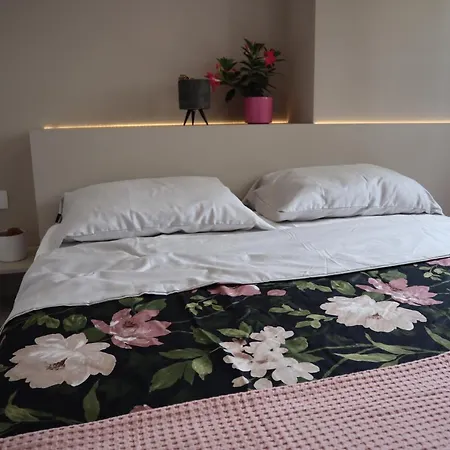 Boutique Rooms By Petric Winery Dobravlje Buitenkant foto